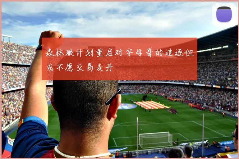 森林狼计划重启对字母哥的追逐但或不愿交易麦丹